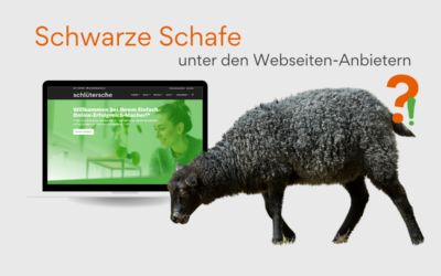 Internet-System-Verträge – Schwarze Schafe unter den Webseitenanbietern 